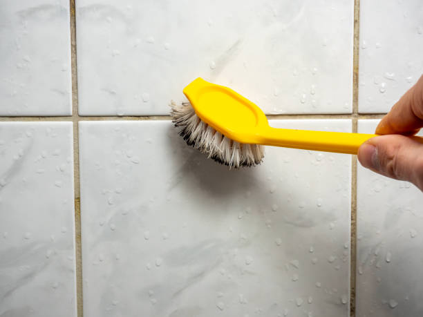 West Loch Estate, HI Mold Removal Company