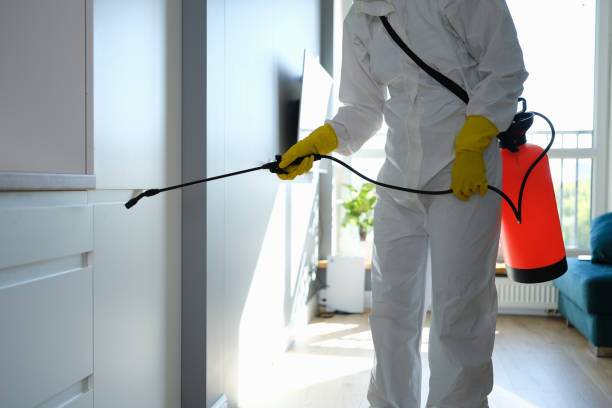 Mold Removal Process in West Loch Estate, HI