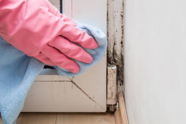 Best Mold Cleaning Services  in West Loch Estate, HI