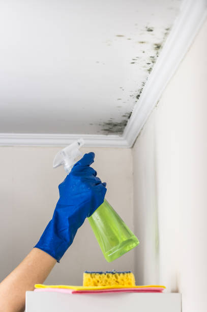 Best Residential Mold Removal  in West Loch Estate, HI